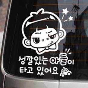 최고픽 탑승 반사 자석 스티커 차량데칼스티커