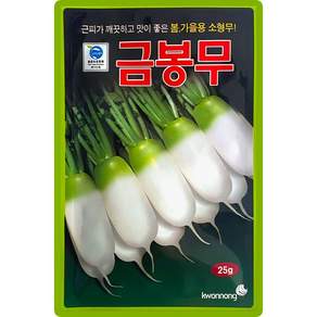 권농종묘 금봉무 씨앗 25g 봄 가을용 소형무씨 종자