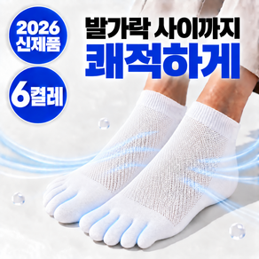 애블비 땀 많은 발을 위한 발가락 양말 남성 사계절 단목 6켤레
