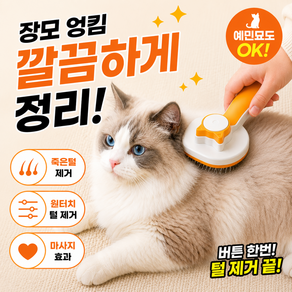 고양이 브러쉬 원터치 털제거 장모 단모 겸용 마사지 빗