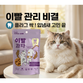 닥터도레미 이빨과자 3종