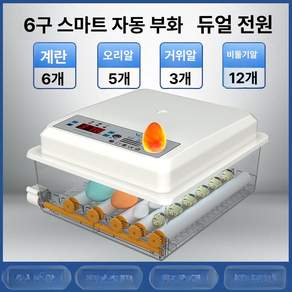 병아리부화기 조류 달걀 220V 64란 자동부화기