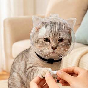 고양이 물림방지 헬멧 입마개 머리보호캡