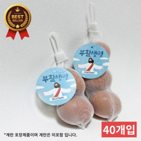 부활절 계란 포장지 네트망 부활절 달걀 포장