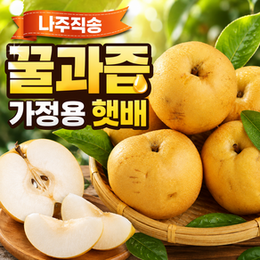 [제철딱2주만] 나주직송 꿀과즙 가정용 햇배
