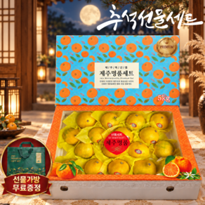[명절선물강력추천] A+ 백화점납품용 초고당도 제주 황금향 과일선물세트