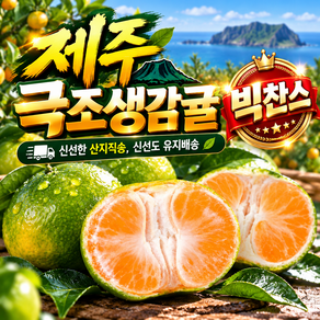송이네 산지직송 제주 귤 고당도 감