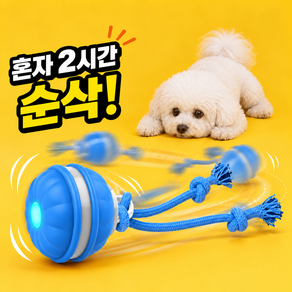 댕냥픽 터그볼 움직이는 장난감 강아지 터그 공