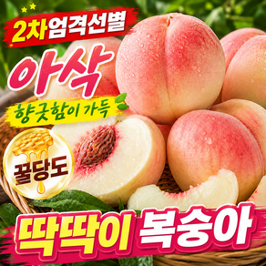 [2차엄격선별] 아삭향긋 꿀당도 딱딱이 복숭아