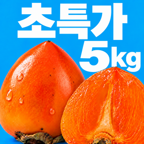 [제철특가] 재구매율1위 대봉감 연시 홍시