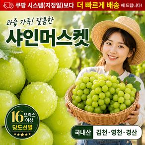 (당도선별)고당도 샤인머스켓 산지직송 제철과일