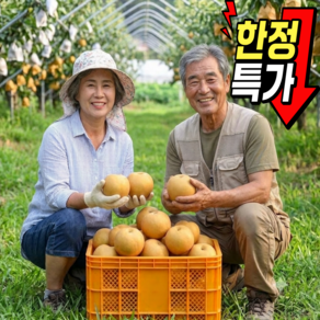 [한정수량초특가] 산지직송 당도선별 햇배