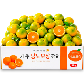 [서귀포농장직판] 11brix 당도선별 귤 제주 감귤 초특가