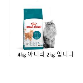 로얄캐닌 캣 에이징 11+ 2kg 시니어 노령묘 고양이 사료