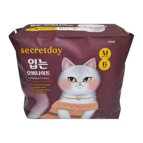 시크릿데이 입는 오버나이트