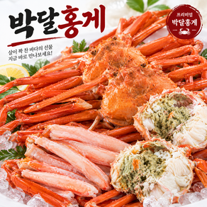 동해 산지직송 수율 90% 자숙 박달홍게 연지홍게