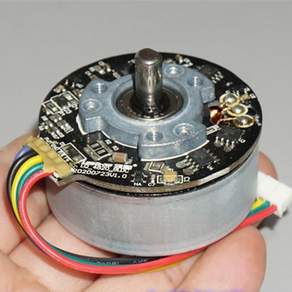 BL4820 DC12V 14.4V 24V 48mm BLDC 브러시리스 모터 고토크 양방향 회전 PWM 속도 조절 근막 마사지기용