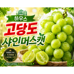 [카담특가] 고당도 하우스 샤인머스캣 산지직송 1kg