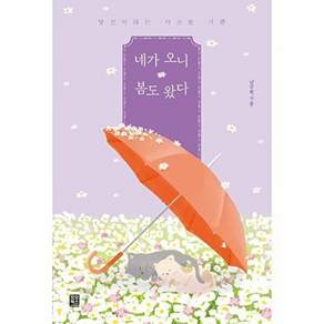 모모북스 네가 오니 봄도 왔다 - 당신이라는 사소한 기쁨