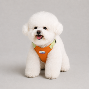 강아지 하네스 소형견 중형견 겸용 가슴편한 조끼형 부드러운 패딩 벨트형 산책용 Y02