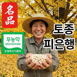 더맛곳간 무농약 국산 피은행 껍질은행 은행알 은행열매 생은행 대