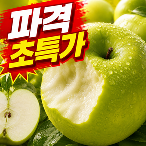 [초특가파격할인] 100박스한정 썸머킹 아삭새콤한 아오리사과