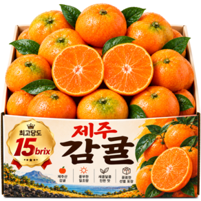[30박스한정]최고15brix 제주감귤 현지직송