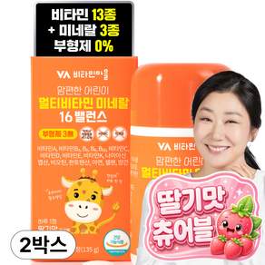 비타민마을 맘편한 어린이 멀티비타민 미네랄 16밸런스 135g