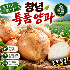 산지직송 창녕 특품 양파