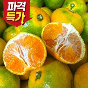[파격특가할인] 귤 제주 감귤 제주도 감귤 로얄과