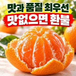 [1차완판] 고당도 제주감귤 로얄과(2S-S) 산지직송 노지감귤