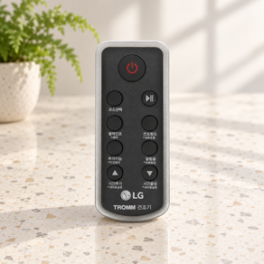 LG 정품 RH9WF RH9WI RH9WI1 사용 건조기 리모컨F