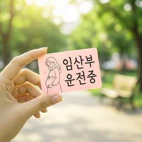 DMmade 신생아 임산부 영유아 탑승중 운전중 현관문 차량 스티커 자석 탈부착 임신출산 선물
