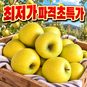 [한정수량하루100박스만] 천상의맛 황금사과 꿀Brix 시나노골드