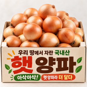 [우리농산물] 국내산 아삭단단 크고좋은 햇양파