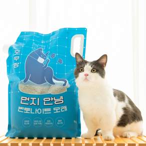 포우장 먼지 안녕 벤토나이트 고양이 모래
