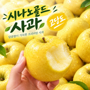 [파격특가] 초고당도 아삭달콤 시나노골드 사과