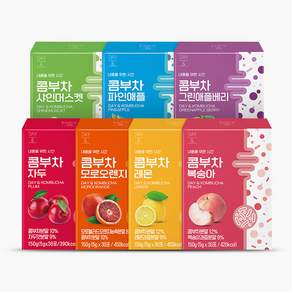 데이앤 콤부차 복숭아 자두 파인애플 레몬 그린애플베리 모로오렌지 샤인모스켓 각 총 70포