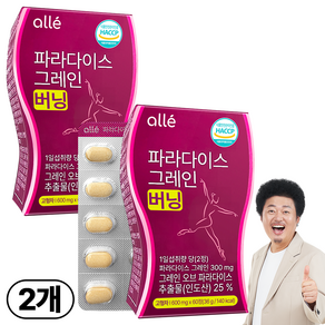 파라다이스 그래인 그레인 버닝 100% 정품 인증 6파라돌 알레