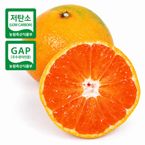 담아온 GAP인증 하우스 감귤 밀감