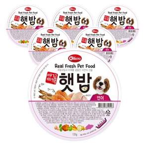 (본사출고)펫퍼스 애견비책 햇밥 강아지사료 습식사료 그레인프리