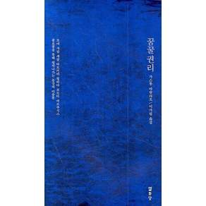 꿈꿀권리:모네 샤갈 세갈 바로키에 칠리다 코르티 마르쿠시스