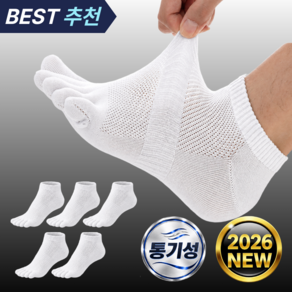 남성용 발가락 양말 단목 5켤레 세트 가을 겨울 사계절용 250-280