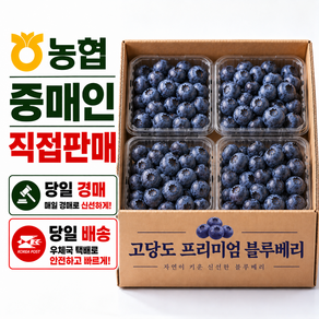 [당일경매] 프리미엄 생 블루베리 농협경매 항공직송