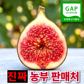 영암 꿀 당도 무화과 당일수확 당일발송