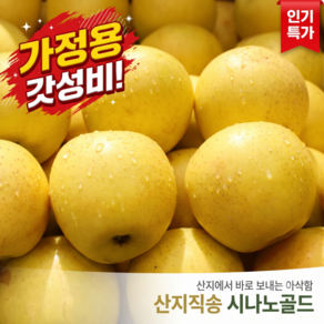 [30박스한정] 고당도 황금사과 아삭달콤 시나노골드