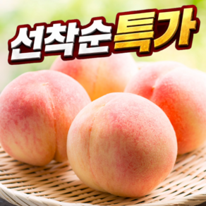 [제철한정특가] 고당도 백도 딱딱이 복숭아