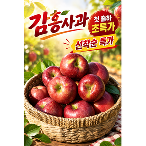 [산지직송] 초고당도 명품 중대과 햇감홍사과 1박스 1kg~5kg
