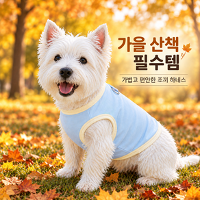 강아지 가을옷 조끼 하네스 산책옷 반사 웨빙 D링 통기성 소형견 외출복