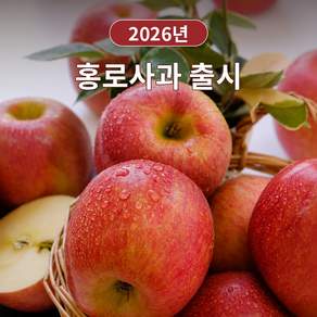 2026년 햇 홍로사과 새콤달콤 제철사과
